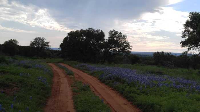 photo 1: Cedar Trail, Mason TX 76856