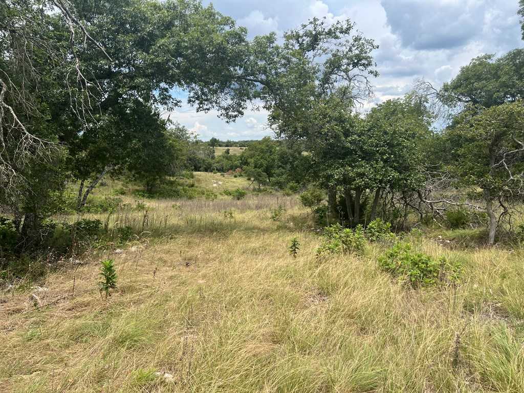 photo 2: Ridgeline Rd, Fredericksburg TX 78624