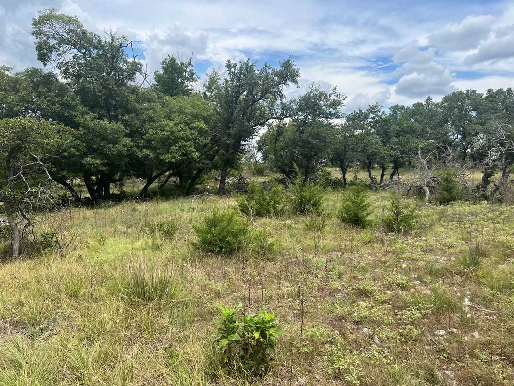 photo 3: Ridgeline Rd, Fredericksburg TX 78624