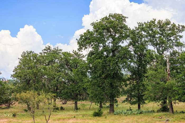 photo 1: Cain City Rd, Fredericksburg TX 78624