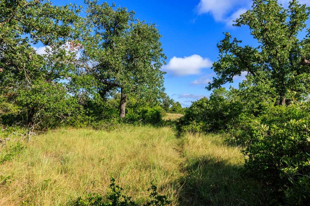 photo 3: Gypsum Mine Rd, Fredericksburg TX 78624