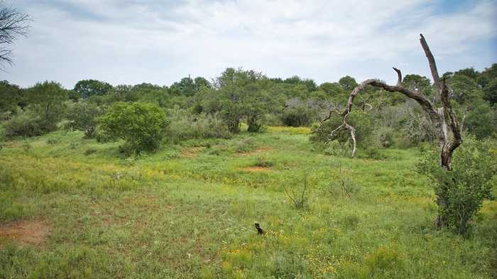 photo 2: Peters Creek Rd, Mason TX 76856