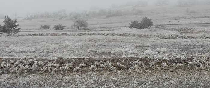 photo 66: Adobe Creek Rd, Fredericksburg TX 78624