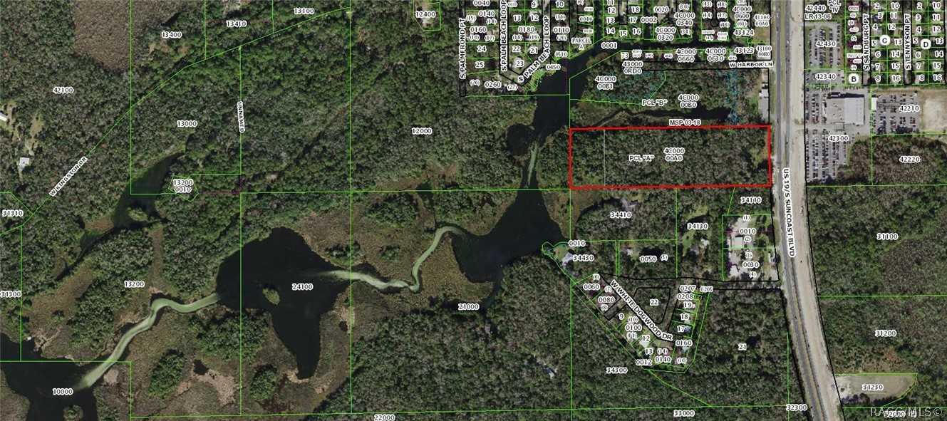 photo 3: 2450 S Suncoast Boulevard, Homosassa FL 34448