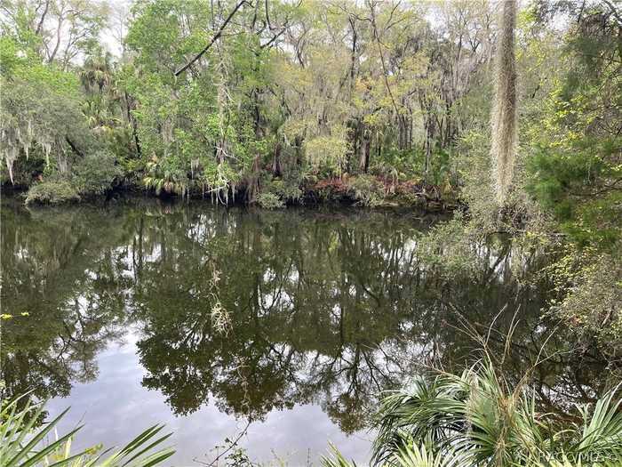 photo 1: 10574 N Dawnflower Point, Crystal River FL 34428