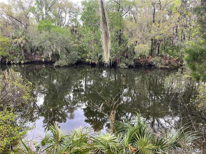 photo 2: 10574 N Dawnflower Point, Crystal River FL 34428