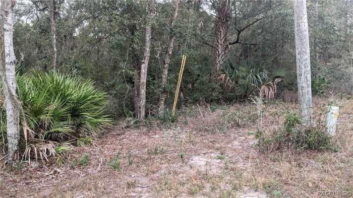 photo 2: 4494 N Tallahassee Road, Crystal River FL 34428