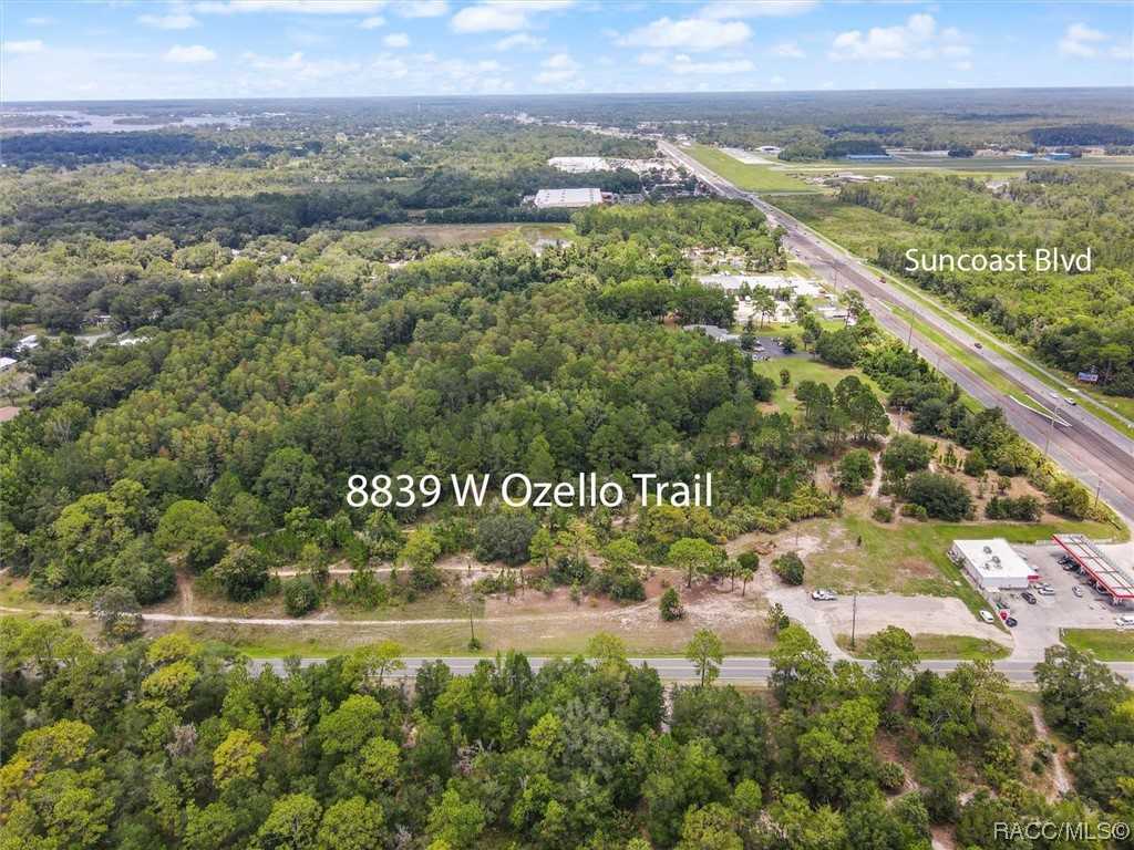 photo 1: 8839 W Ozello Trail, Crystal River FL 34429