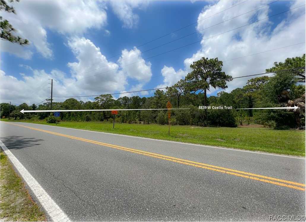 photo 3: 8839 W Ozello Trail, Crystal River FL 34429