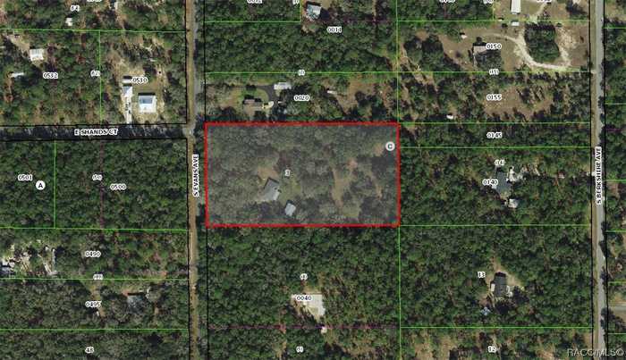 photo 61: 9415 S Evans Avenue, Inverness FL 34452