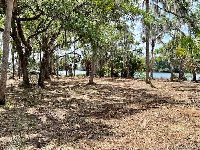 photo 1: 14500 W Fort Island Trail, Crystal River FL 34429