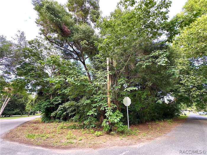 photo 2: Lot 6 S Inglis Avenue, Inglis FL 34449