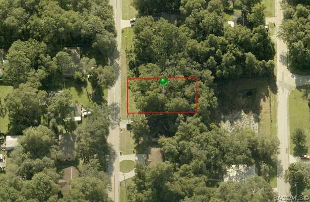 photo 3: 1623 Dickinson Street, Inverness FL 34450