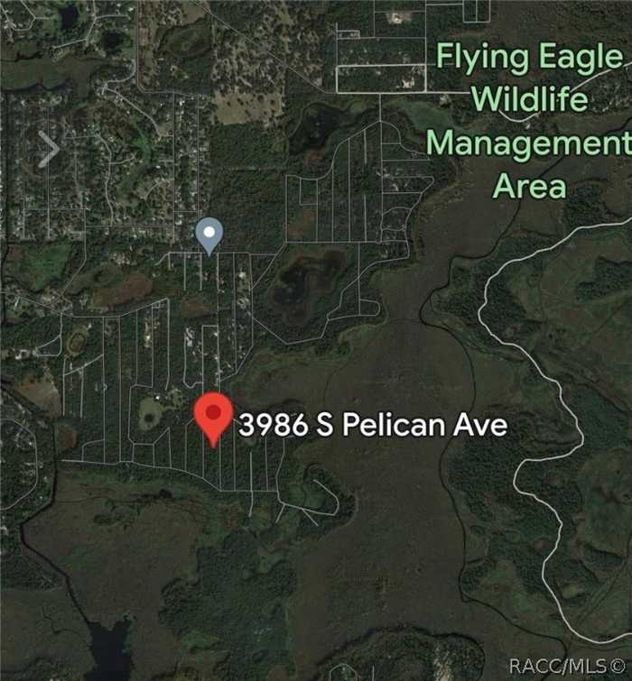 photo 1: 3986 S Pelican Avenue, Inverness FL 34450