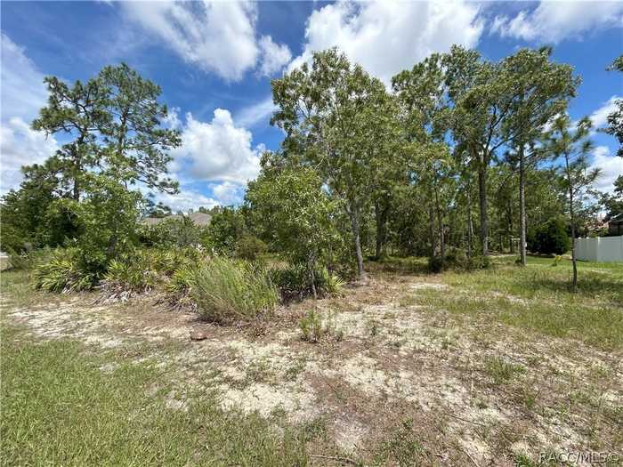 photo 2: 5 Pawpaw Court N, Homosassa FL 34446