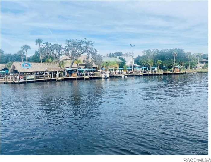 photo 81: 5173 S Running Brook Drive, Homosassa FL 34448