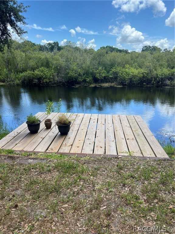 photo 2: 5500 S Marlin Point, Floral City FL 34436