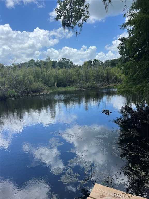 photo 3: 5500 S Marlin Point, Floral City FL 34436