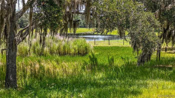 photo 1: 6764 N Paraqua Circle, Crystal River FL 34428