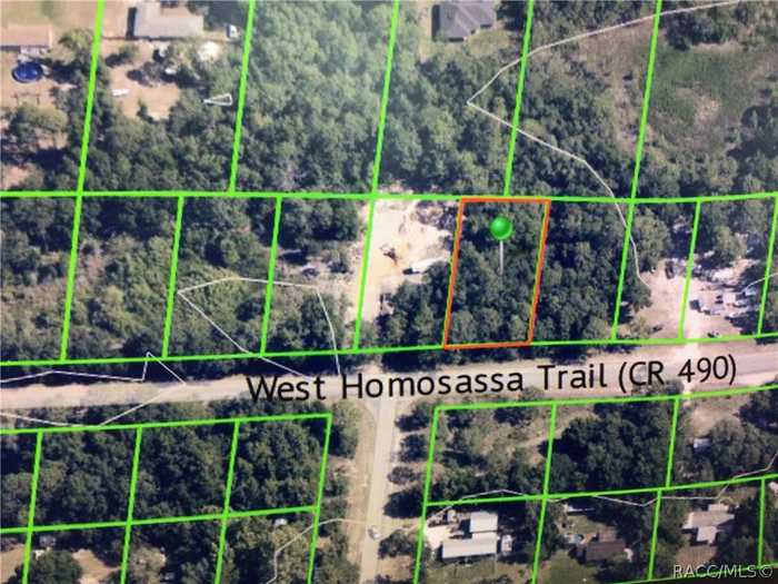 photo 3: 6241 W Homosassa Trail, Homosassa FL 34448