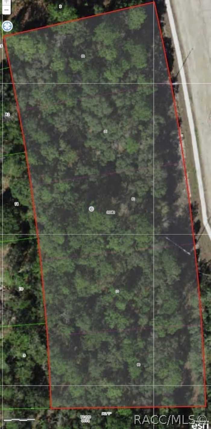 photo 2: 5912 S Suncoast Boulevard, Homosassa FL 34446