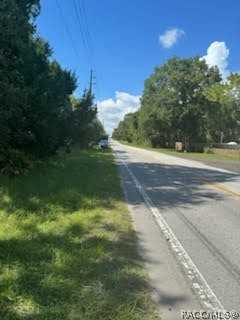 photo 1: 324 N Dunkenfield Avenue, Crystal River FL 34428