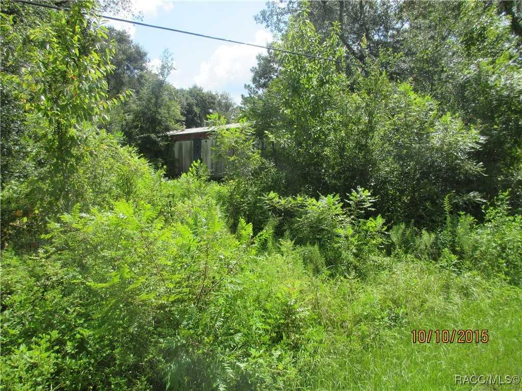 photo 1: 7101 W Wild Oak Place, Homosassa FL 34448