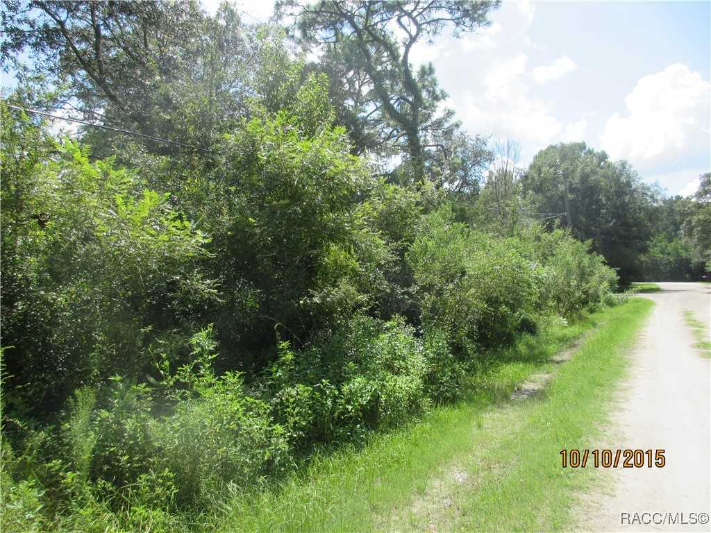 photo 2: 7101 W Wild Oak Place, Homosassa FL 34448