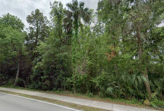 photo 2: 5187 S James Terrace, Homosassa FL 34448