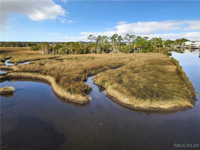 photo 56: 11646 W Bayshore Drive, Crystal River FL 34429