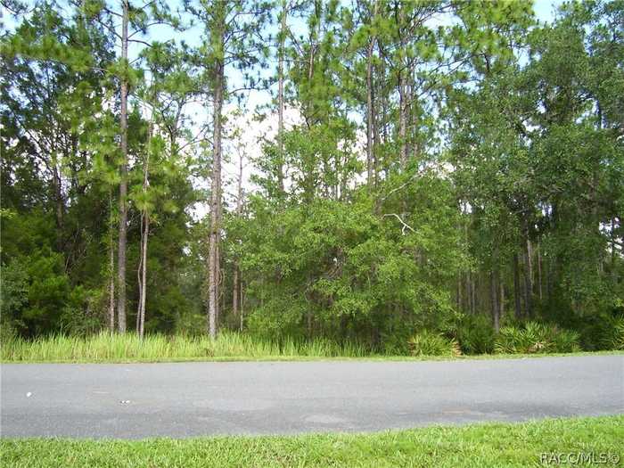 photo 1: 7903 S Suncoast Boulevard, Homosassa FL 34446