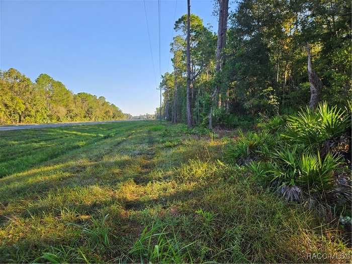 photo 1: SE HWY 19 LOT 18 Highway, Inglis FL 34449