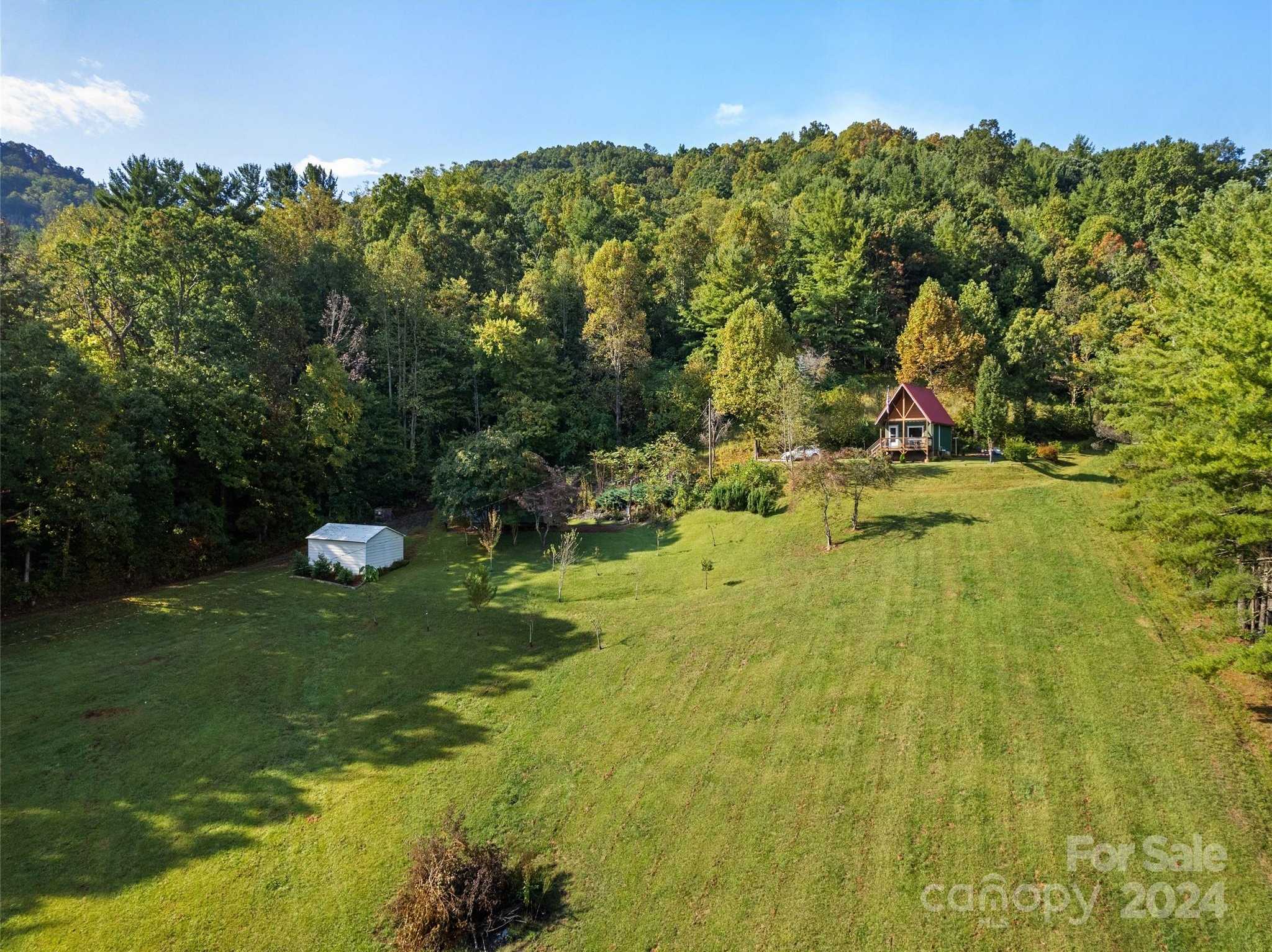 photo 3: 127 Shope Road, Asheville NC 28805