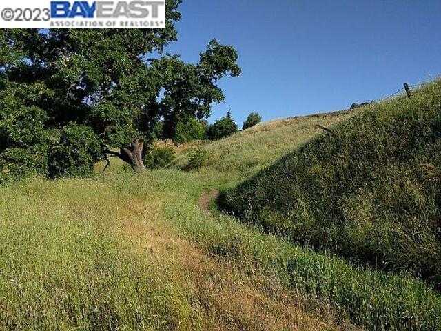 photo 1: 12221 Rodden Rd, Oakdale CA 95361