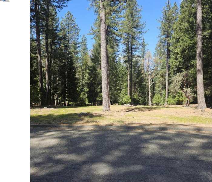 photo 1: 5736 Wildrose Dr, Grizzly Flats CA 95636