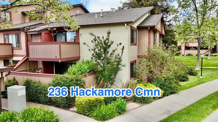 photo 1: 236 Hackamore Cmn, Fremont CA 94539