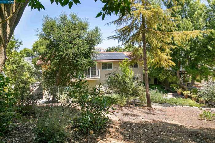 photo 36: 2339 Lariat Ln, Walnut Creek CA 94596