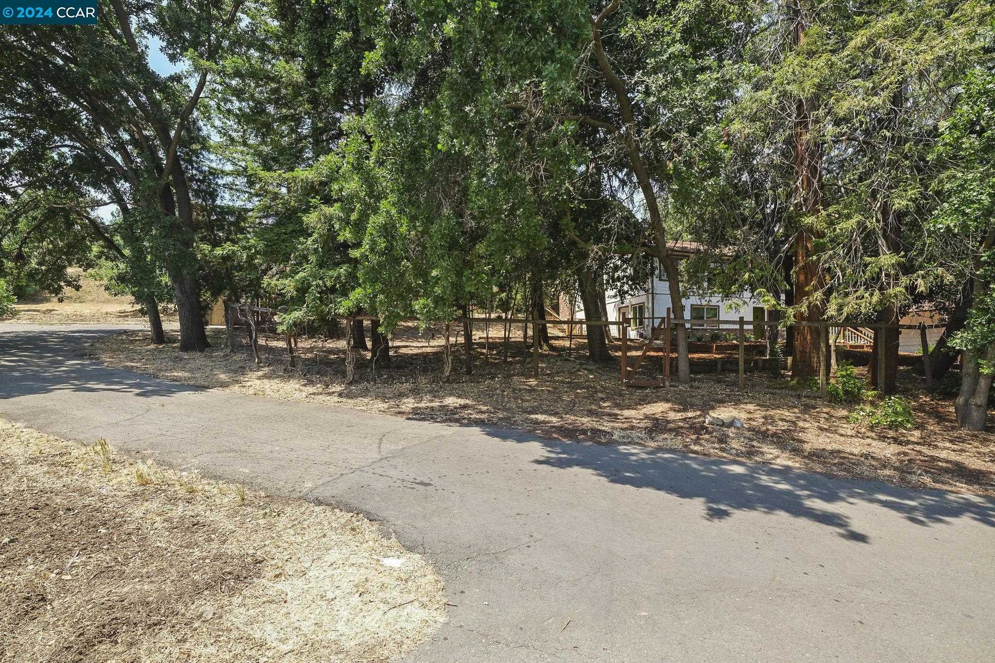 photo 3: 1067 Ridge Park Dr, Concord CA 94518