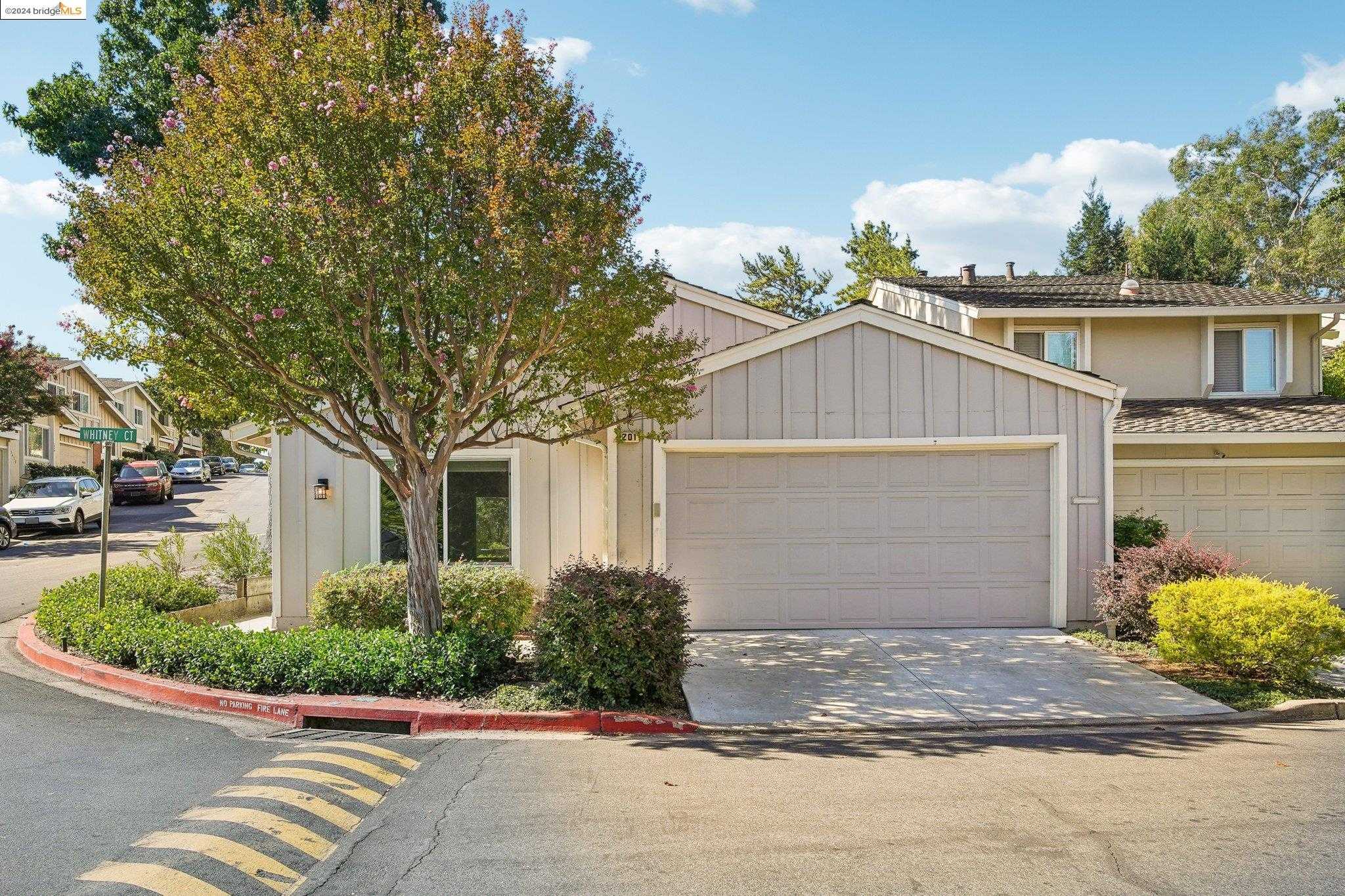 photo 2: 201 Whitney Ct, Walnut Creek CA 94598