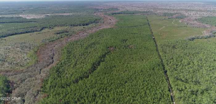 photo 2: Otter Creek Bridge Rd, Ebro FL 32437