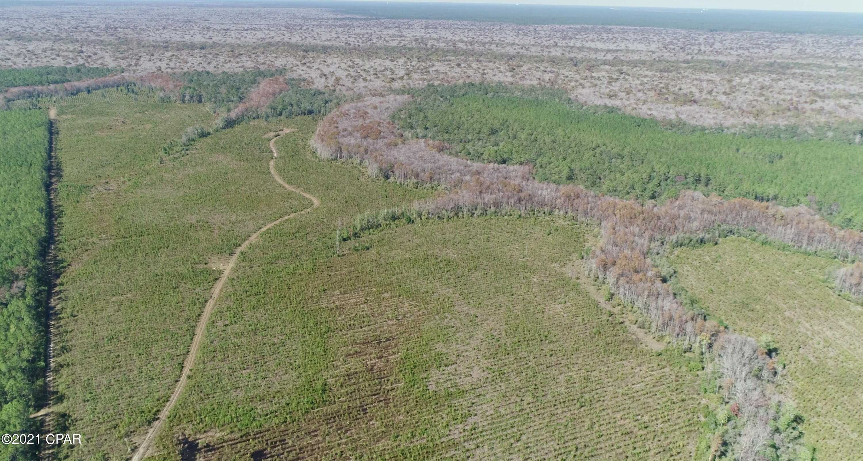 photo 3: Otter Creek Bridge Rd, Ebro FL 32437