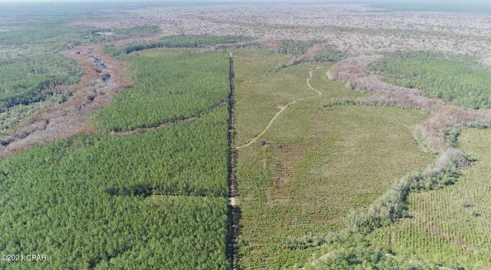 photo 7: Otter Creek Bridge Rd, Ebro FL 32437