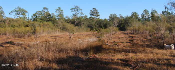 photo 48: NW Lake Mckenzie Boulevard, Altha FL 32421