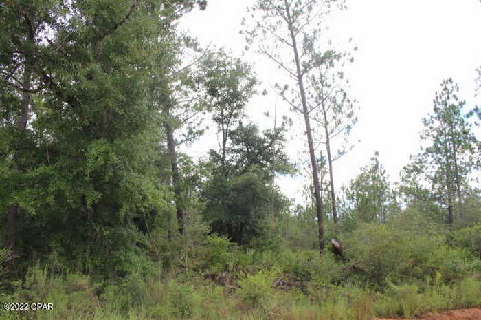 photo 15: Dickerson Road, Fountain FL 32438