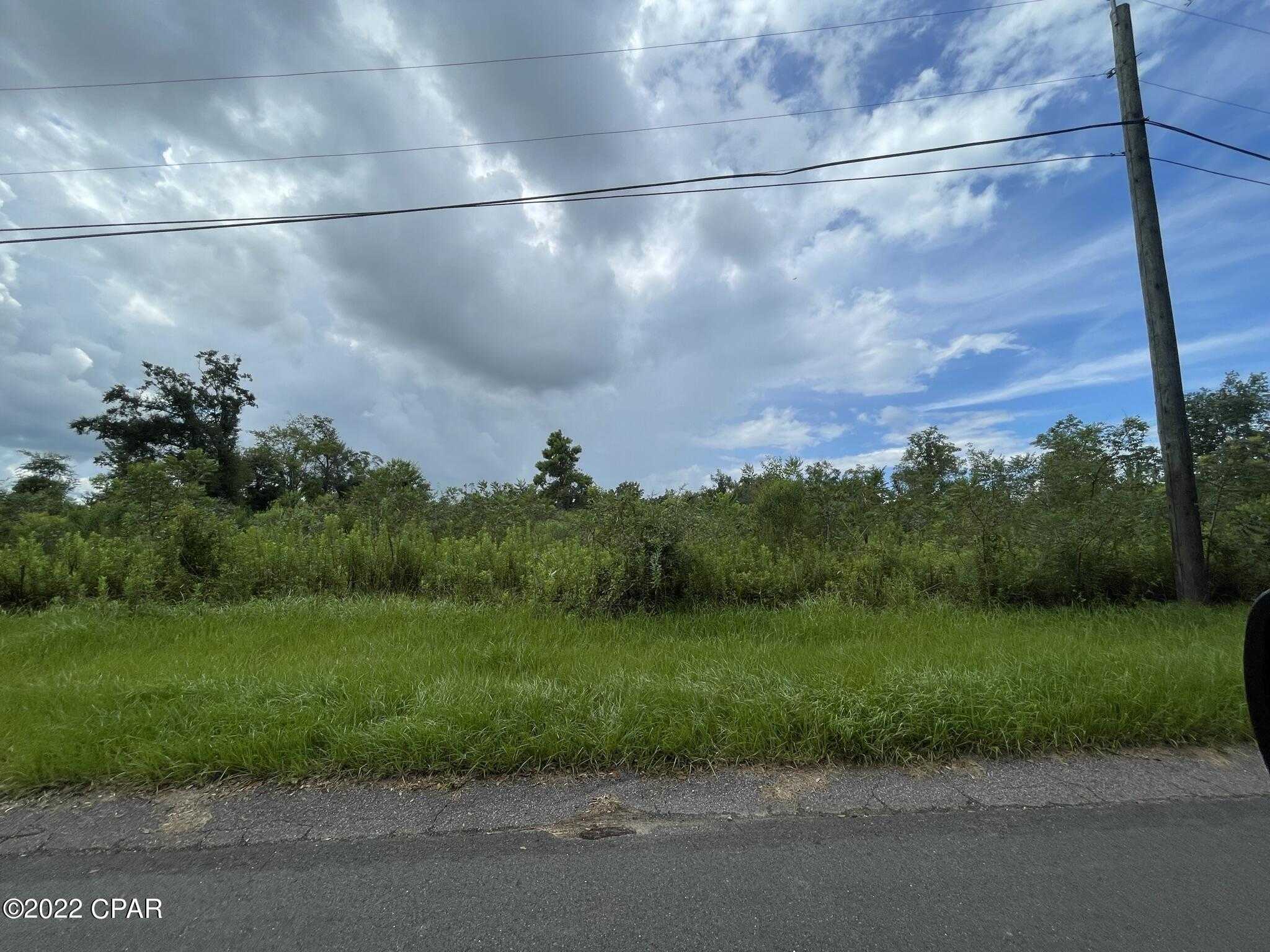 photo 3: Bumpnose Road, Marianna FL 32446