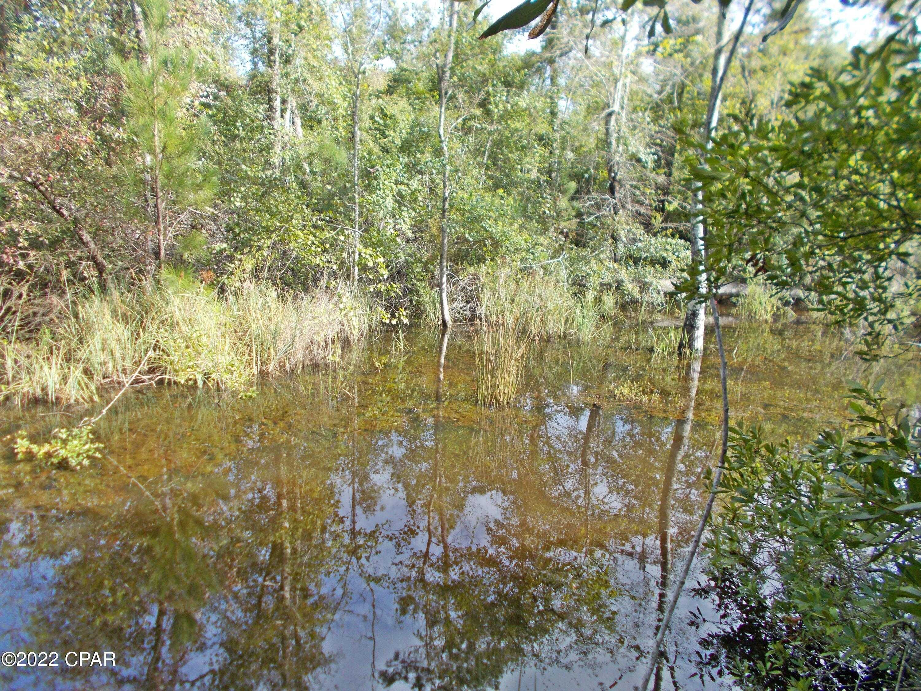 photo 2: Perry Road, Cottondale FL 32431