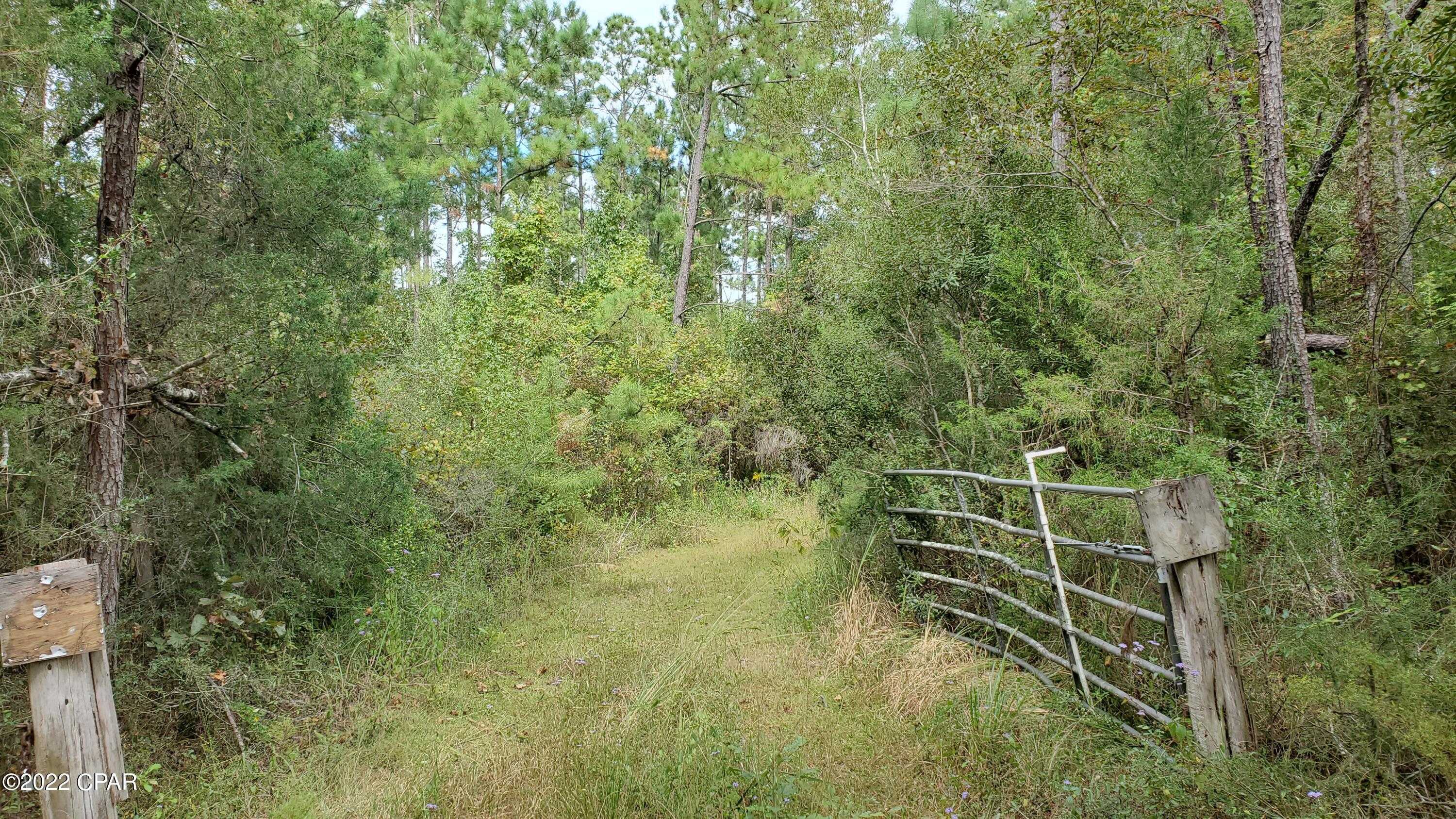 photo 1: Buttercup Lane, Marianna FL 32446