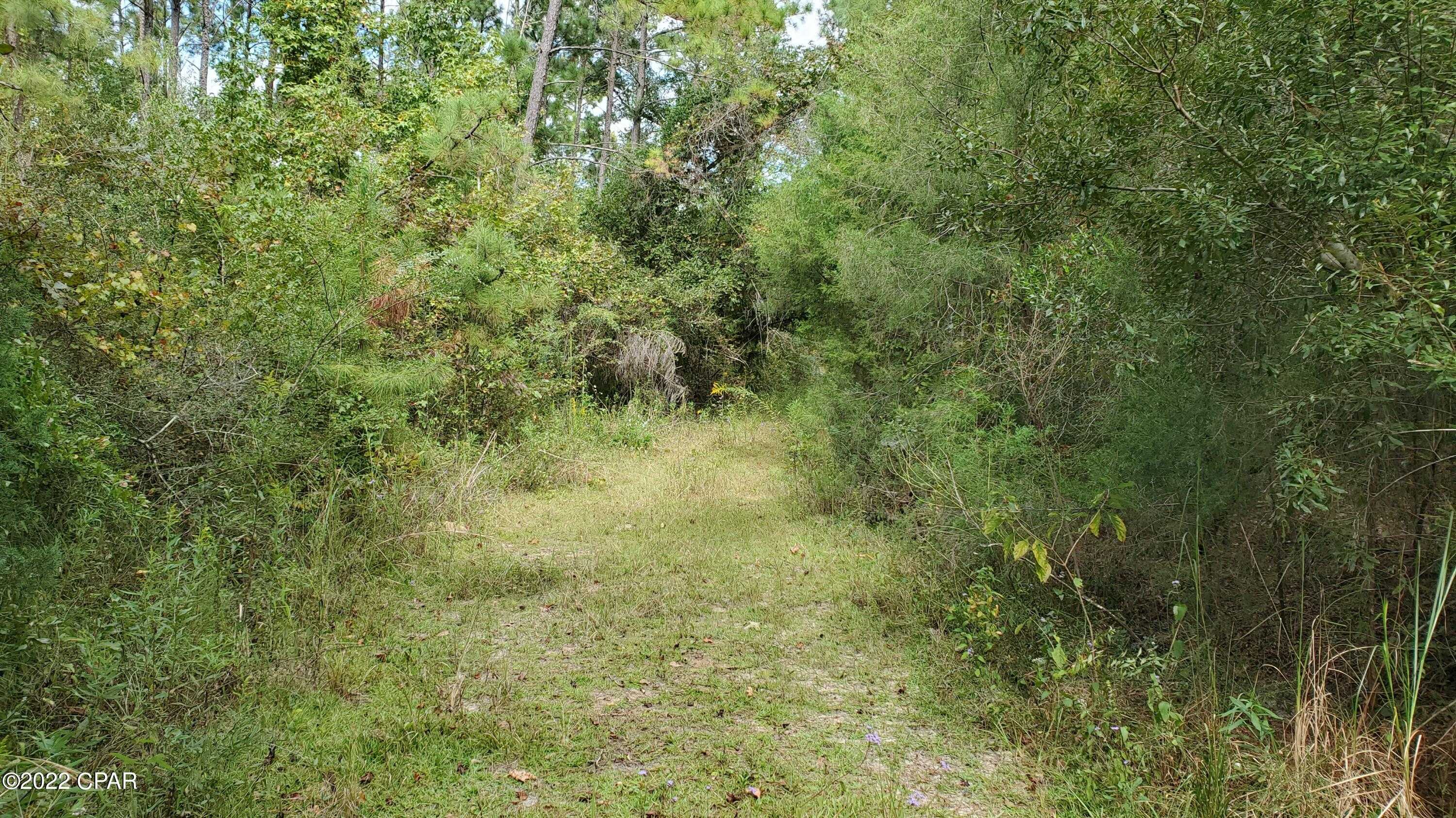 photo 2: Buttercup Lane, Marianna FL 32446