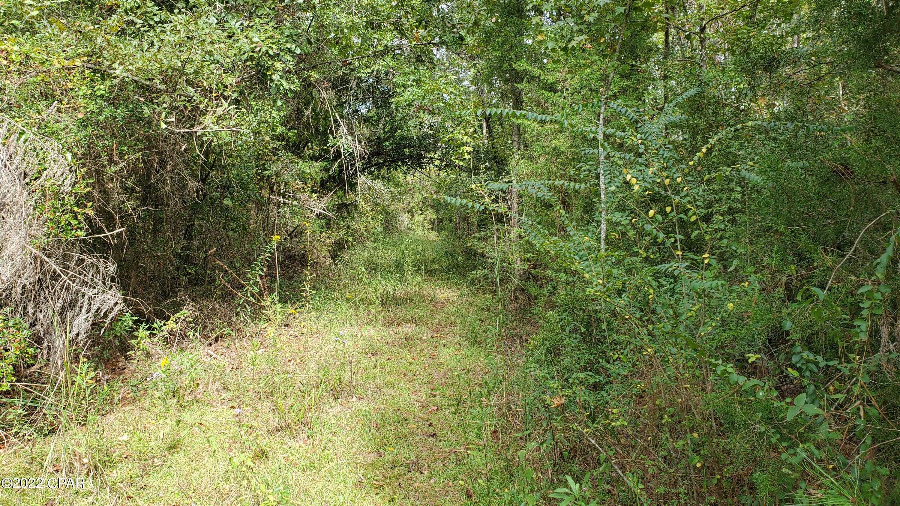 photo 3: Buttercup Lane, Marianna FL 32446