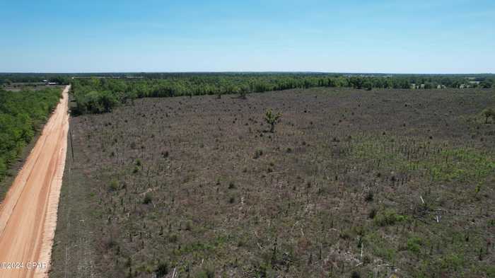 photo 15: Americus Road, Marianna FL 32446